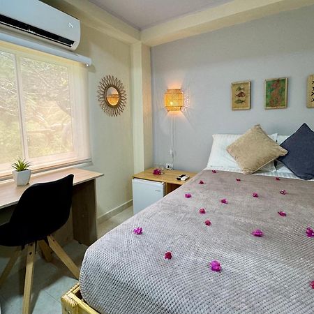 Bed and Breakfast Colorful Garden House Providencia  Exterior foto